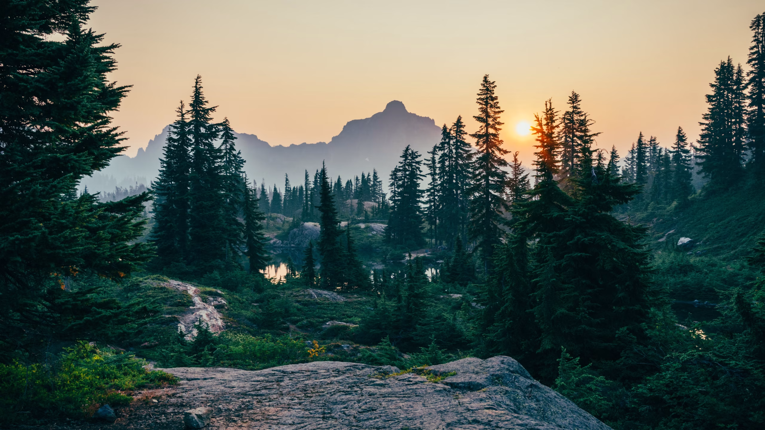 Sunset in the mountains with a small pond and some pine trees